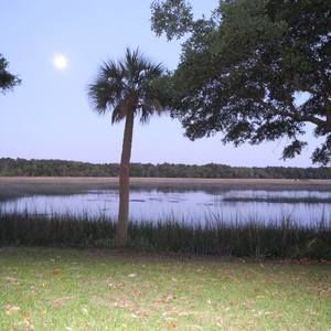 Meet your Posher, Ann